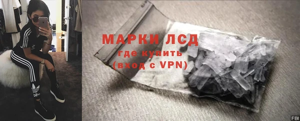 стаф Инта