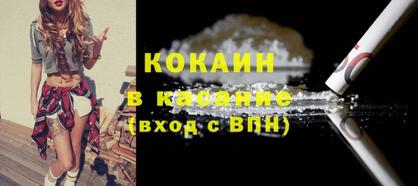 стаф Инта
