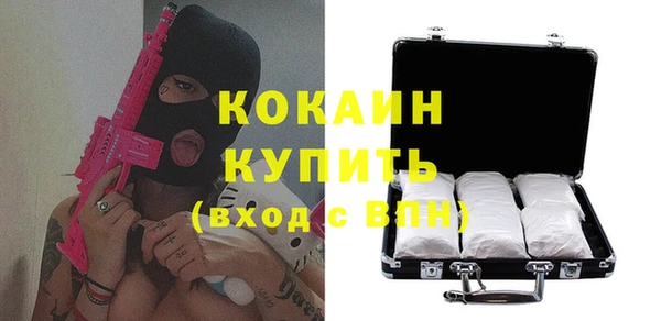 стаф Инта
