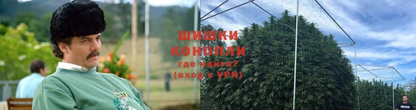 прущие крисы Иннополис