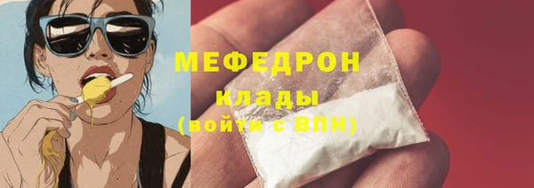 стаф Инта