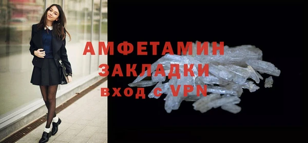 стаф Инта