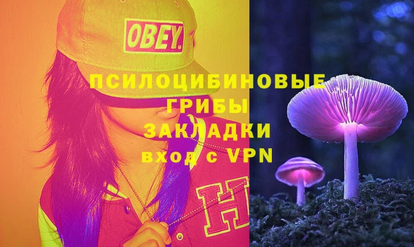 мет Инсар