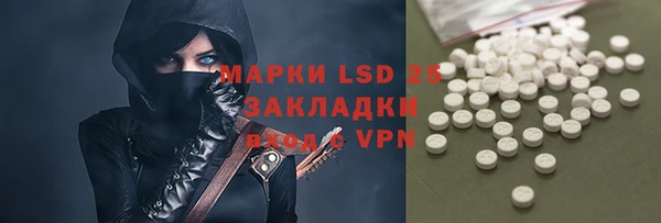 мет Инсар