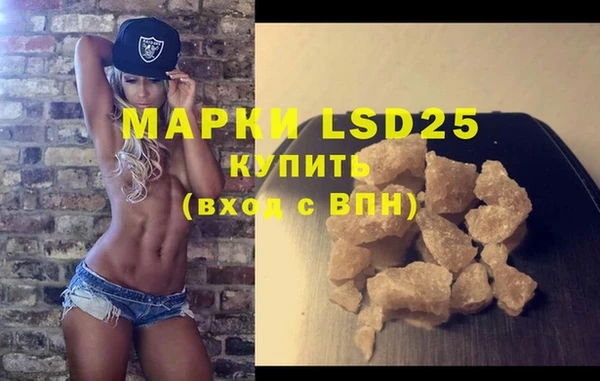 мет Инсар