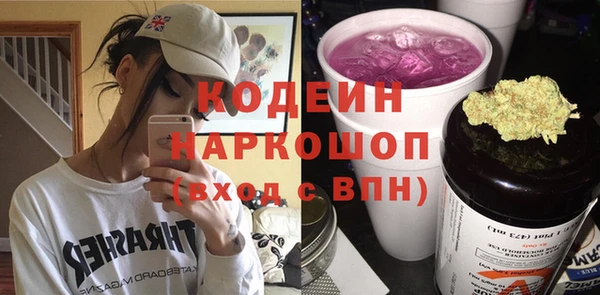 стаф Инта