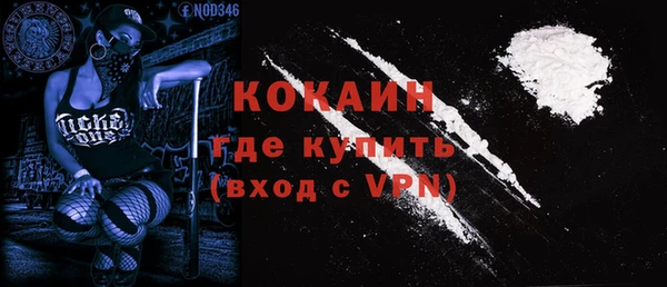 стаф Инта