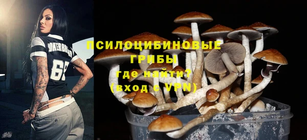 стаф Инта