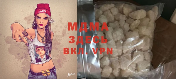 стаф Инта